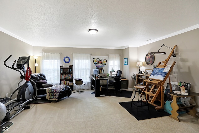 workout room with carpet, crown molding, and a textured ceiling