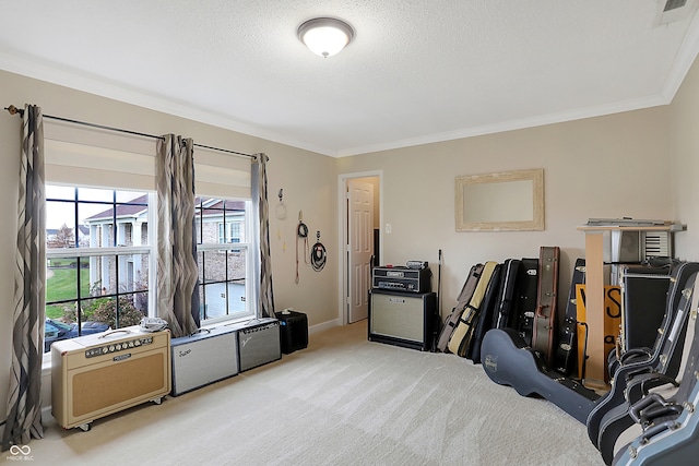 interior space featuring a textured ceiling, crown molding, and light carpet