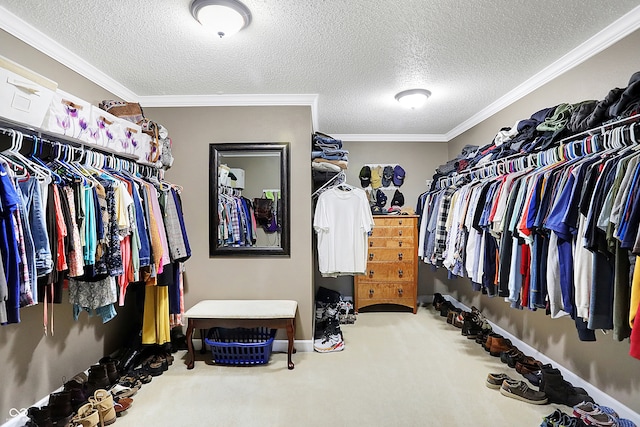 walk in closet with carpet