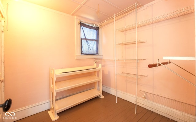 walk in closet featuring dark wood-type flooring