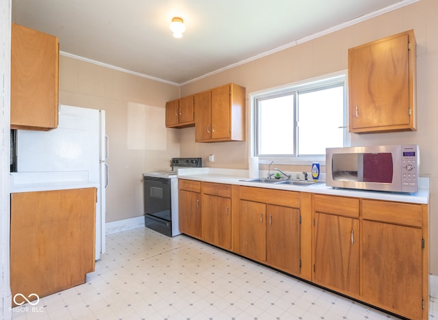 kitchen with crown molding, sink, and black electric range