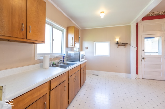 kitchen with a healthy amount of sunlight, ornamental molding, and sink