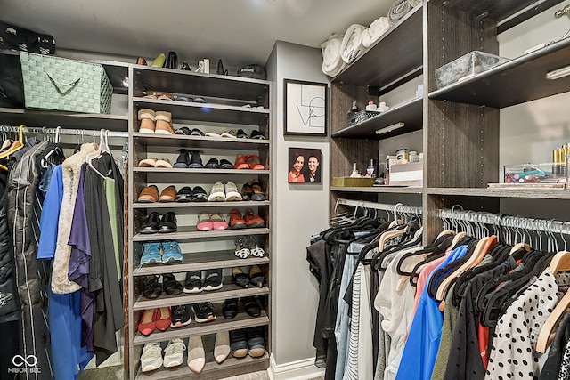 view of spacious closet