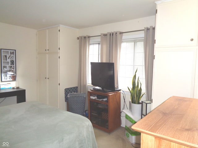 bedroom with light colored carpet