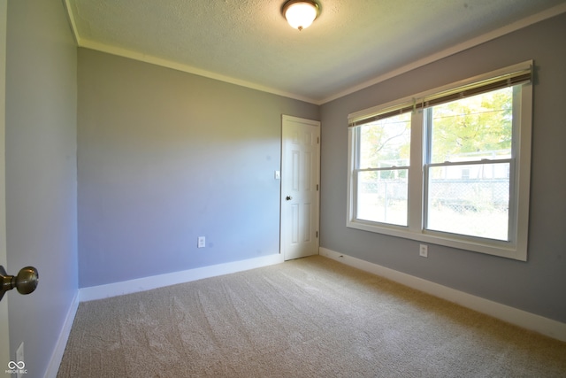 carpeted spare room featuring a textured ceiling and crown molding