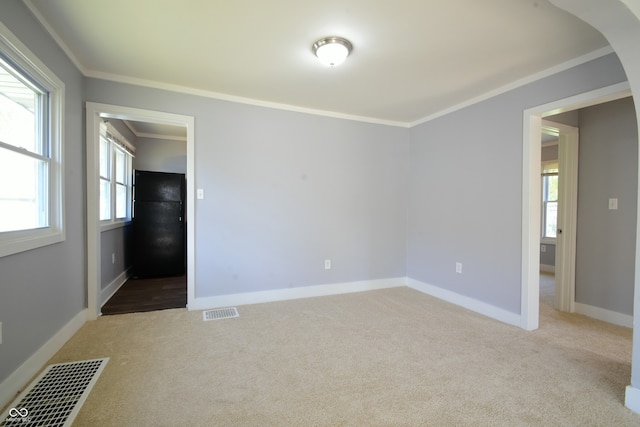 carpeted spare room with ornamental molding