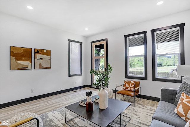 living room featuring light hardwood / wood-style floors