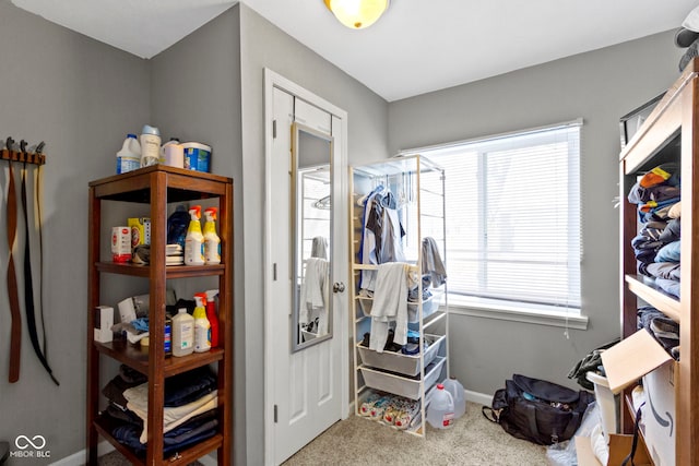 interior space with carpet floors