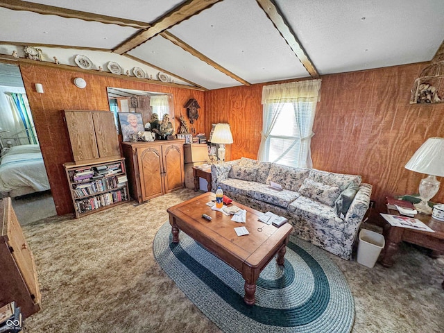 4355 E Streacher Rd, Bloomington, IN 47408 - living room featuring wood walls and light colored carpet