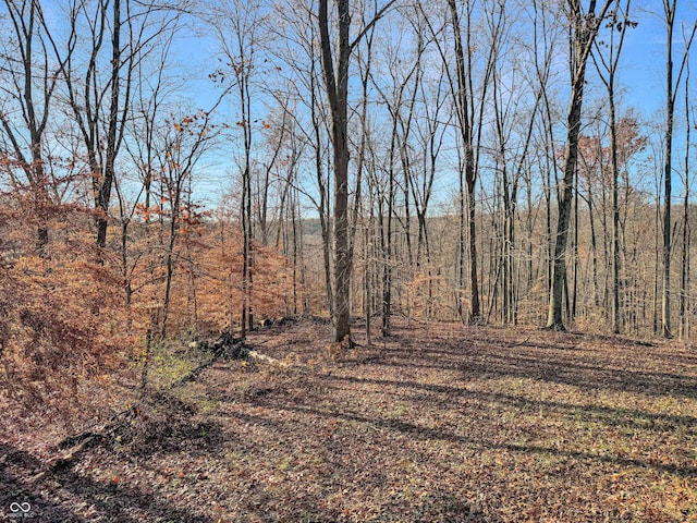 view of local wilderness