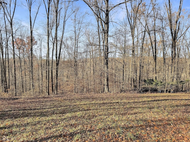 4355 E Streacher Rd, Bloomington, IN 47408 - view of yard