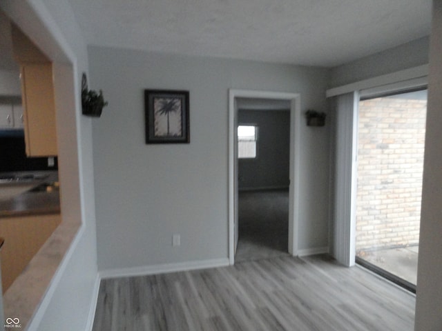 unfurnished room featuring light hardwood / wood-style flooring