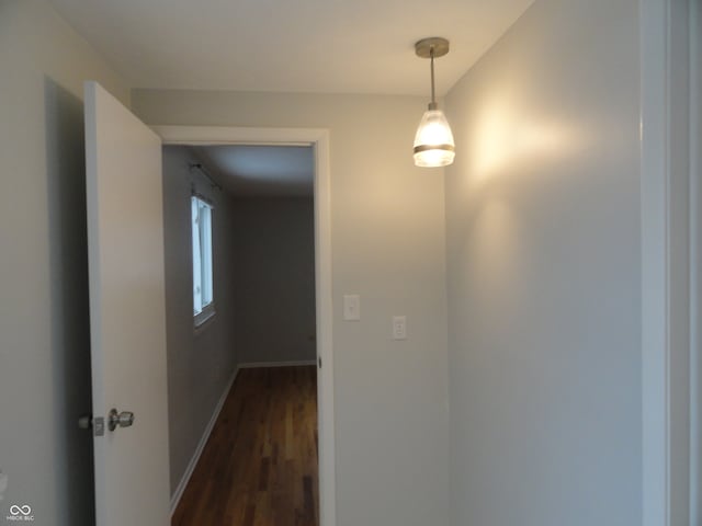 corridor with dark hardwood / wood-style flooring