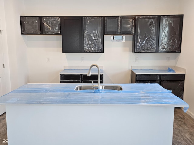 kitchen with sink and dark hardwood / wood-style floors