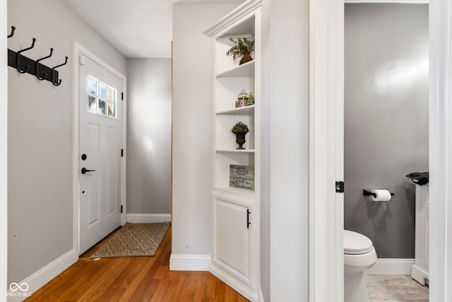 entrance foyer with light hardwood / wood-style flooring