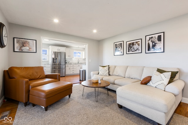 living room with wood-type flooring and sink