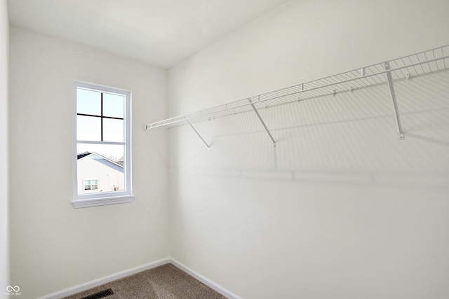 spacious closet with carpet flooring