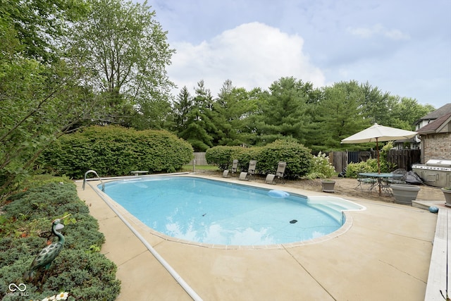 view of swimming pool with a patio area and a grill