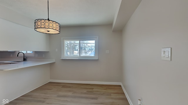 unfurnished dining area with light hardwood / wood-style floors, plenty of natural light, and sink