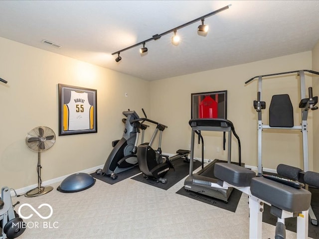 exercise room with light carpet and rail lighting