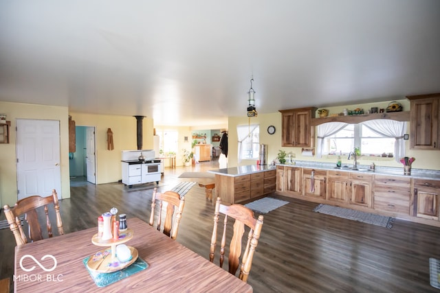 dining area featuring a wood stove, sink, and dark wood-type flooring