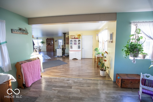 interior space featuring a wood stove and dark wood-type flooring