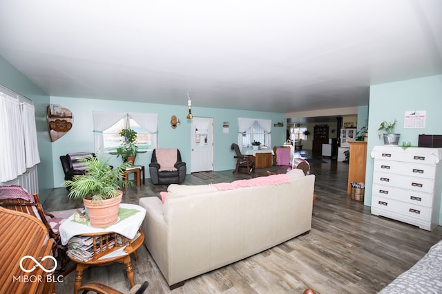 living room with dark hardwood / wood-style floors