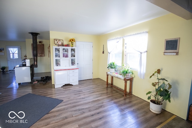 interior space featuring dark hardwood / wood-style flooring and a wood stove