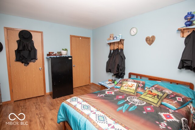 bedroom featuring light hardwood / wood-style flooring