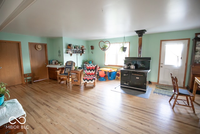 living room with hardwood / wood-style flooring