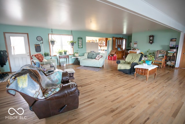 living room with light hardwood / wood-style flooring