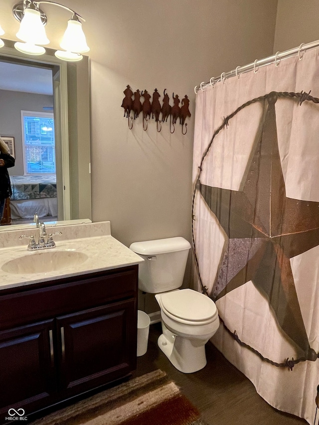 bathroom with toilet and vanity