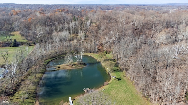 bird's eye view with a wooded view and a water view