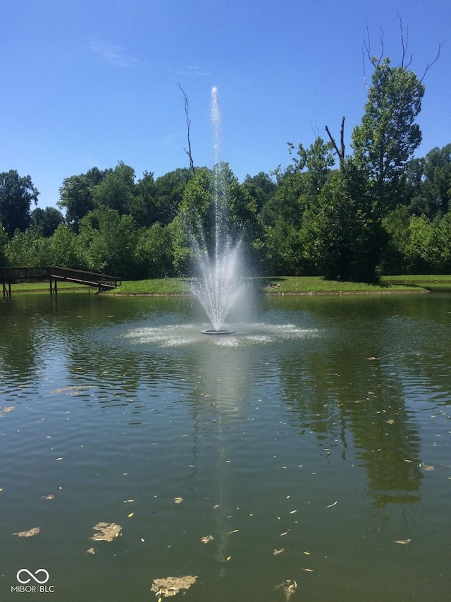 view of water feature