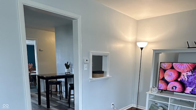 living room featuring wood-type flooring