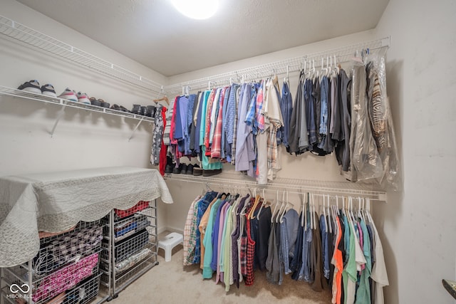 walk in closet featuring carpet