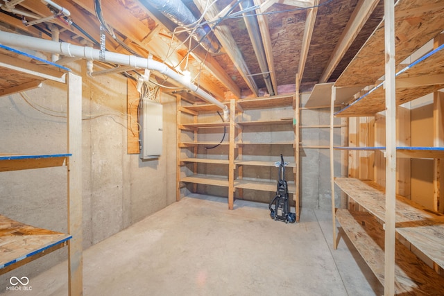 basement with electric panel