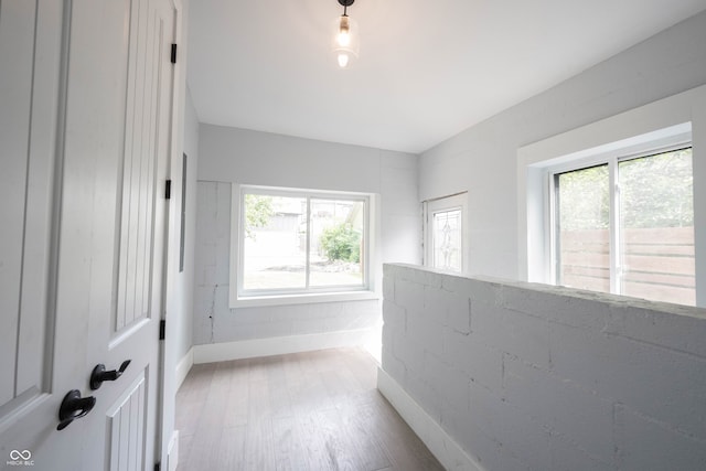 hall featuring wood-type flooring