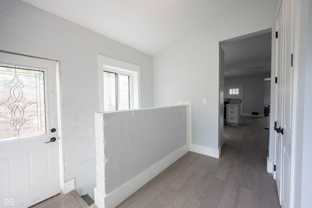 entryway featuring wood-type flooring and lofted ceiling