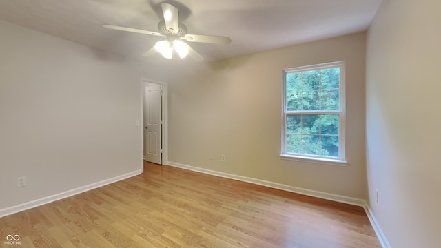 unfurnished room featuring ceiling fan and light hardwood / wood-style flooring