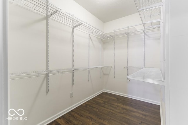 spacious closet featuring dark wood-type flooring