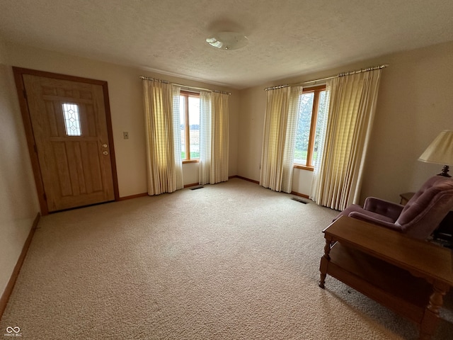 interior space featuring light carpet and a textured ceiling