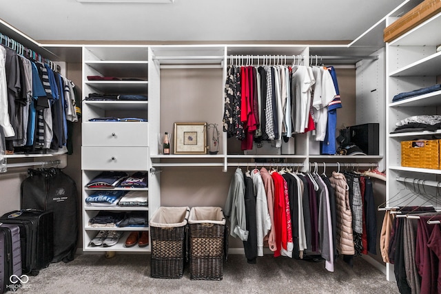 spacious closet featuring carpet