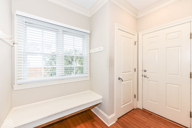 mudroom featuring wood-type flooring and ornamental molding