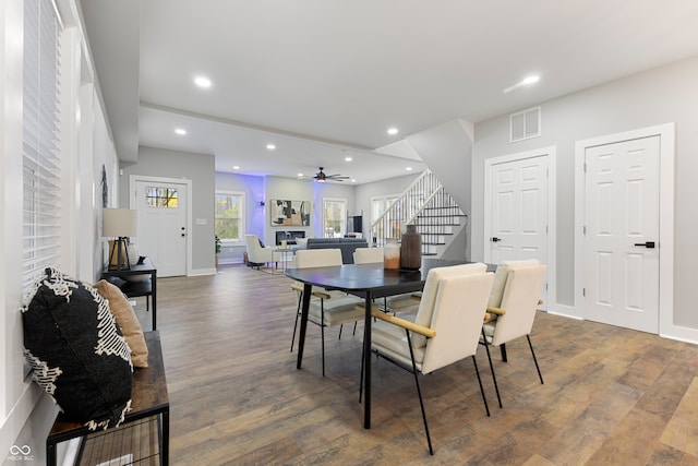 dining space with ceiling fan and dark wood-type flooring