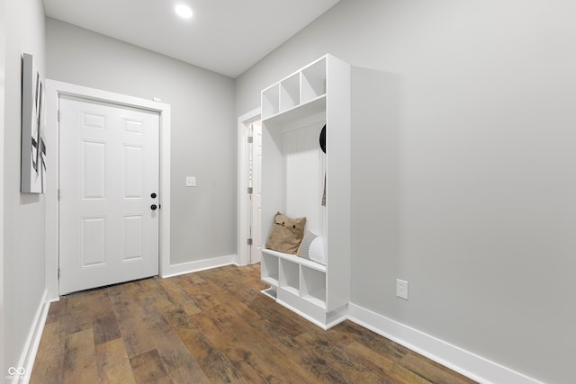 mudroom featuring dark hardwood / wood-style floors