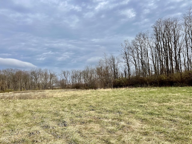 2750 N County Road 1000 E, Indianapolis, IN 46234 - view of local wilderness featuring rural landscape