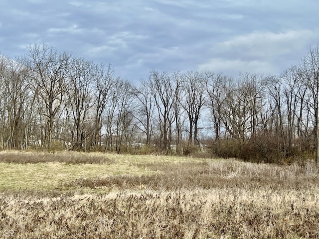 2750 N County Road 1000 E, Indianapolis, IN 46234 - view of undeveloped land