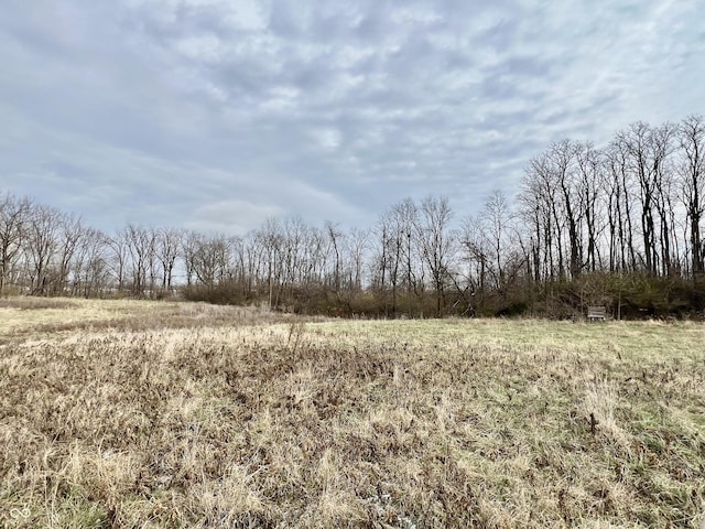 2750 N County Road 1000 E, Indianapolis, IN 46234 - view of undeveloped land featuring rural landscape