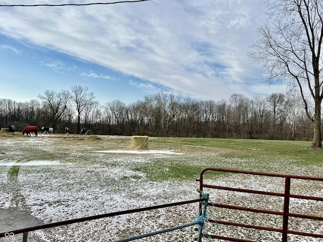 2750 N County Road 1000 E, Indianapolis, IN 46234 - view of yard